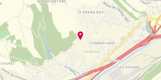 Plan de PJP Consultants, 4 Route du Puits Saint-Constant, 42800 Saint-Joseph