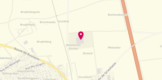 Plan de Timework France, Route de Molsheim, 67870 Bischoffsheim